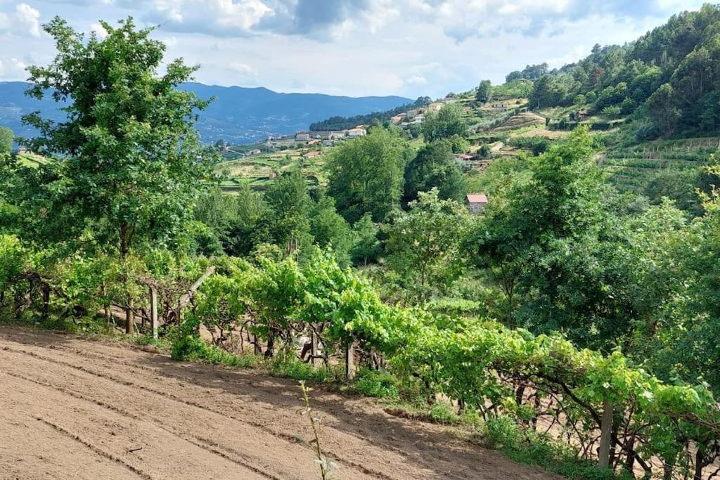 바이아오 Quinta Dos Castros Douro 빌라 외부 사진
