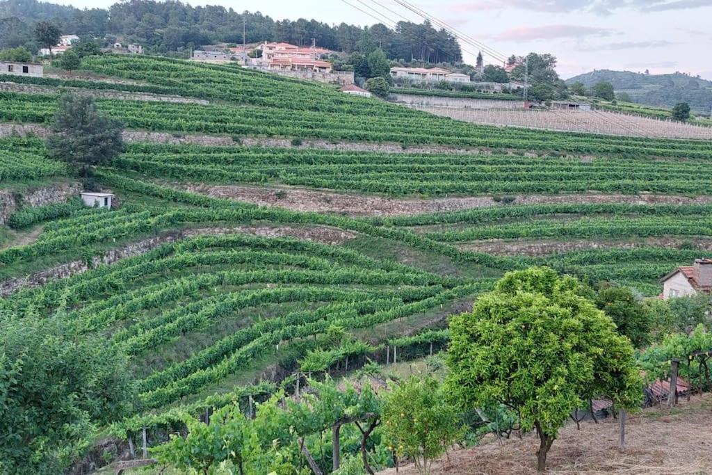 바이아오 Quinta Dos Castros Douro 빌라 외부 사진