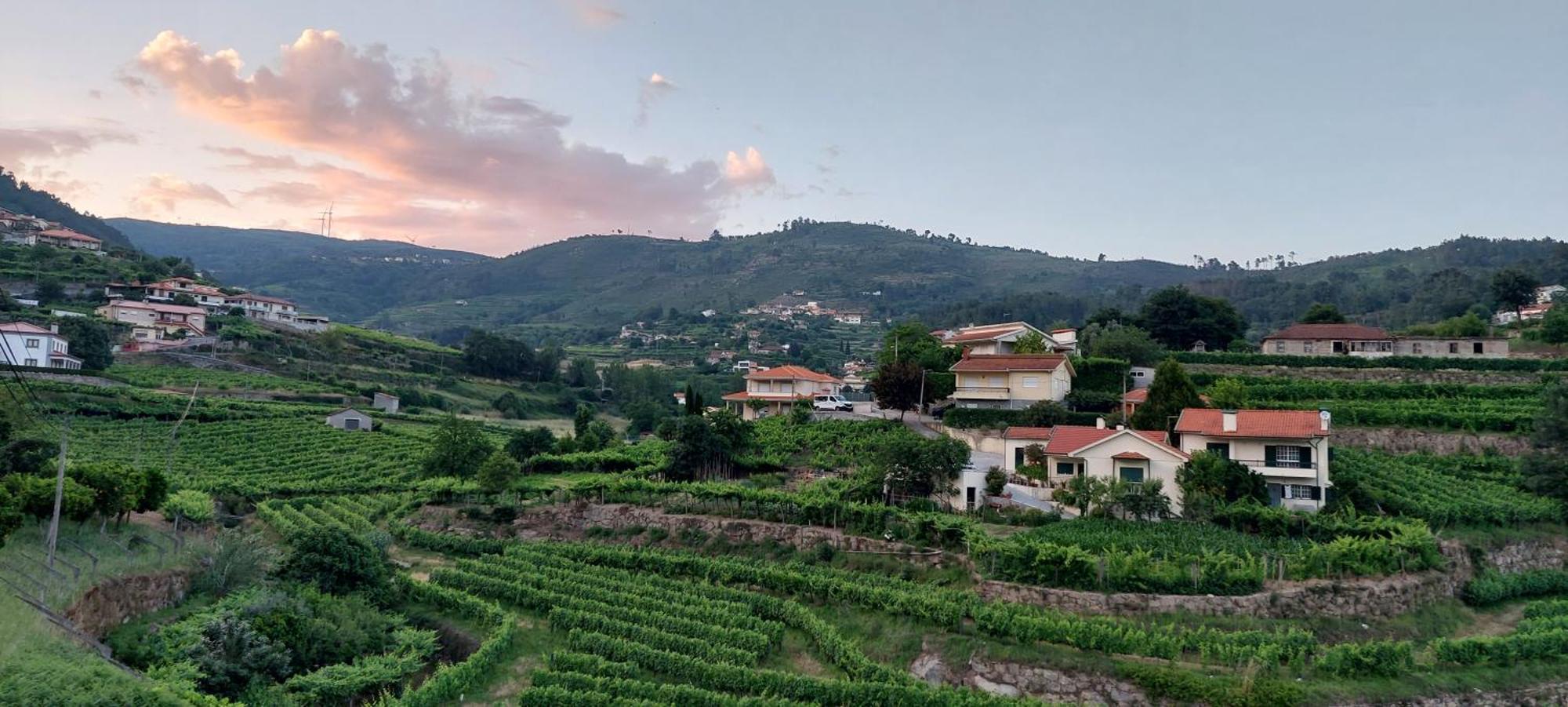 바이아오 Quinta Dos Castros Douro 빌라 외부 사진