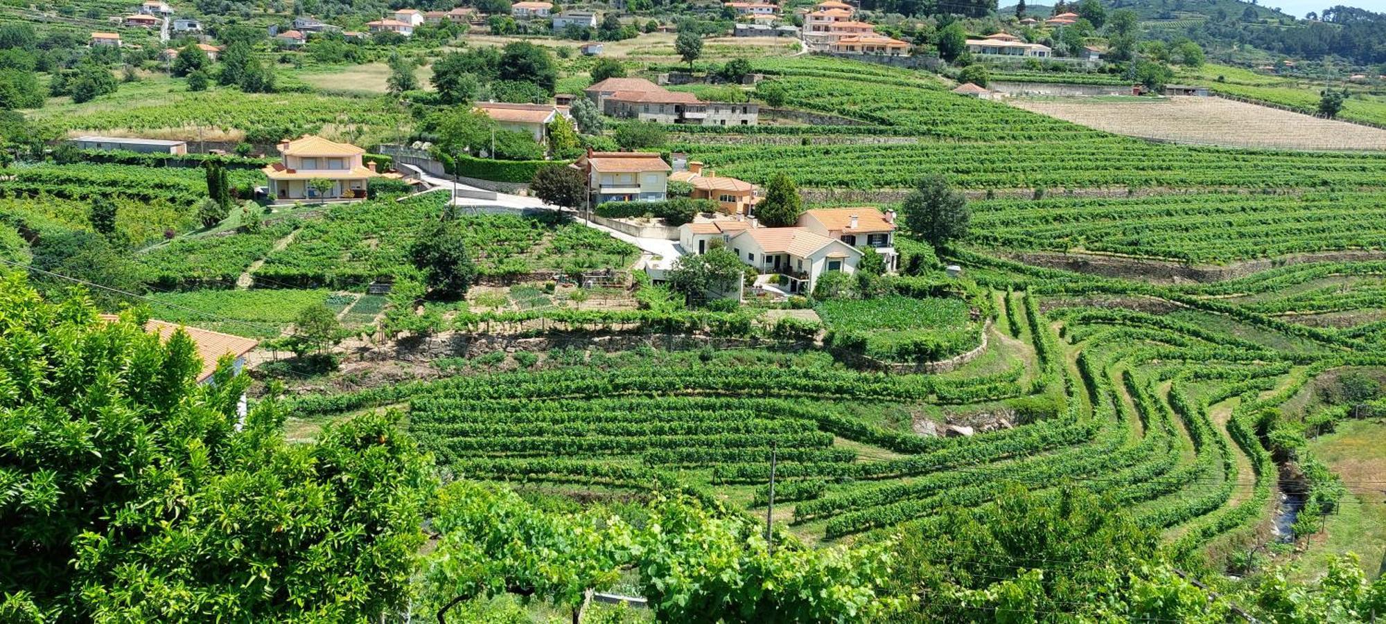 바이아오 Quinta Dos Castros Douro 빌라 외부 사진