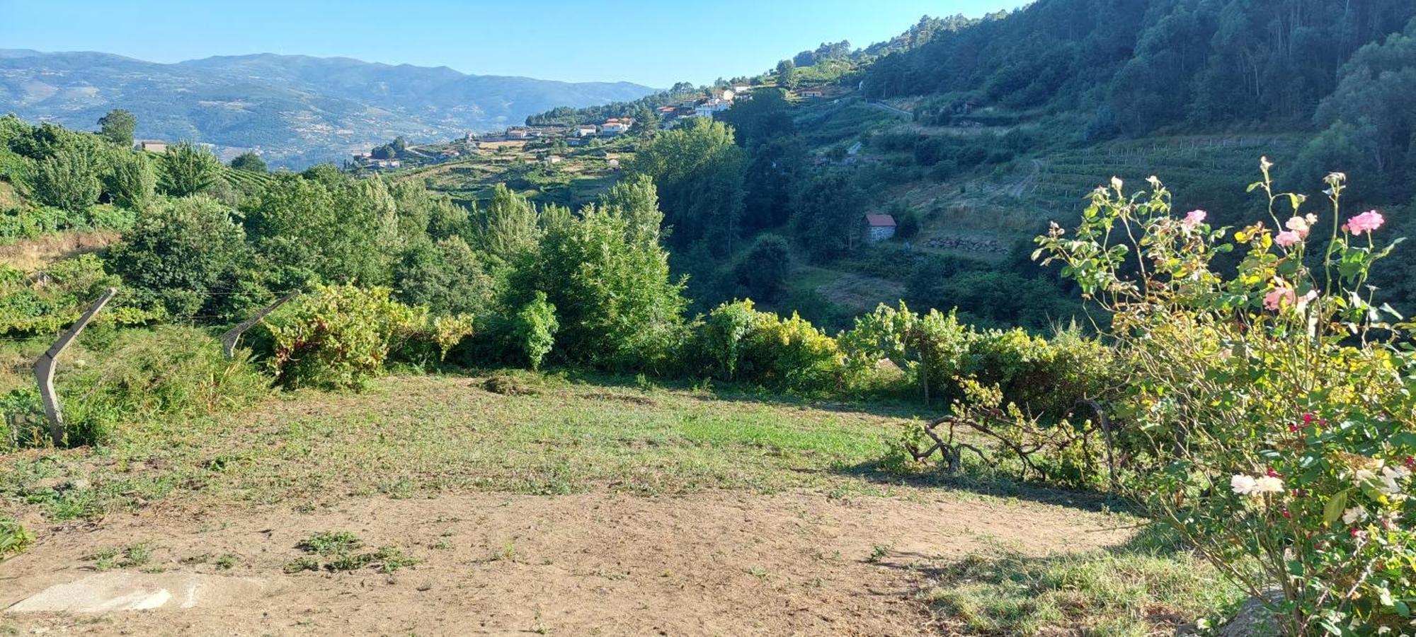 바이아오 Quinta Dos Castros Douro 빌라 외부 사진