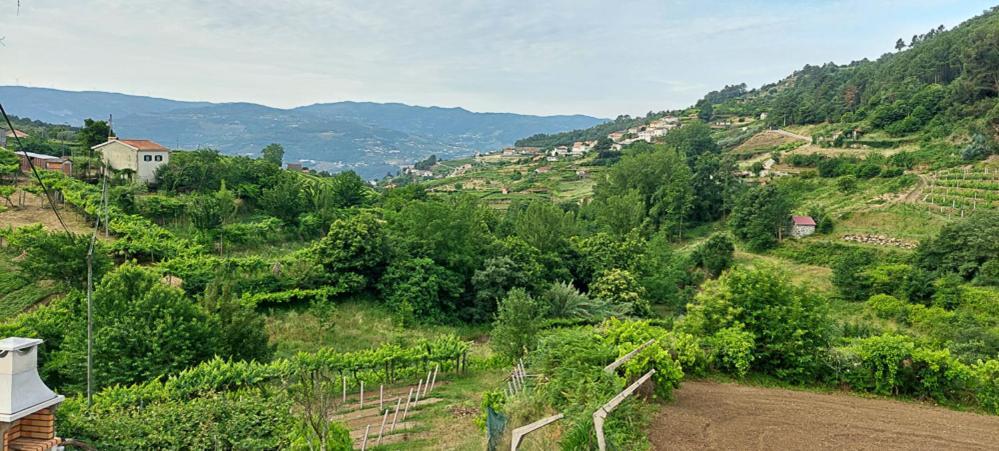 바이아오 Quinta Dos Castros Douro 빌라 외부 사진