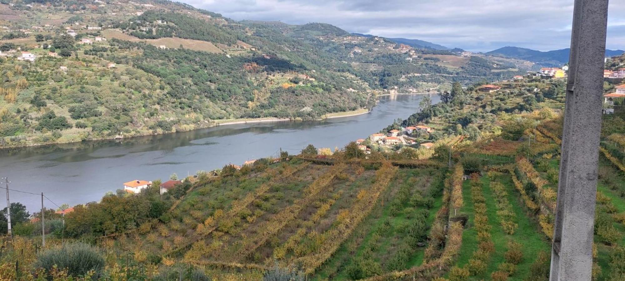 바이아오 Quinta Dos Castros Douro 빌라 외부 사진